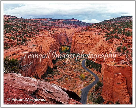 450631    Long Canyon Utah